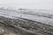 a group of seagulls rest on the seashore