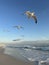 Group of seagulls of seagulls flying along the shoreline at sunset on the Emerald Coast of Florida beach