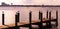 Group of seagulls standing on poles by the river