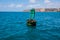 Group of seals including two babies sleep on a green buoy in the ocean off of the California coast