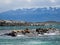 Group of seals and sea lions, Beagle Channel, Ushuaia, Argentina