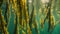 a group of seaweed gracefully floating in the water, creating a vibrant underwater display of a bustling kelp forest, A vibrant