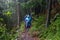 Group of senior tourists hiking in rainy forest