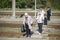 group of senior travelers with masks on their faces cross the railway tracks