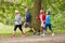 Group of seniors walking or walking