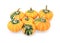 Group of seven small disc-shaped ornamental gourds