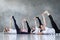 Group of several european women doing yoga posture anantasana.