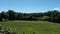 Group of sheep grazing in a field 2