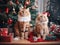 Group shot of cute and beautiful cats with Christmas theme sitting underneath the Christmas tree decorated with Christmas presents