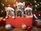 Group shot of cute puppies with Christmas theme sitting underneath the Christmas tree