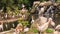 Group of Siberian Sandhill Cranes Rest around Pond in Park