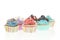 Group of six Colorful Cupcakes Isolated