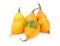 Group of six orange pear bicolor ornamental gourds