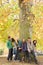 Group Of Six Teenage Friends Leaning Against Tree