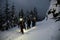 Group of skiers walking along trail on snowy mountain against the background of snow-covered fir trees