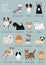 Group of small dogs breeds hand drawn chart