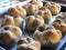 Group of small homemade breads with wholemeal flour