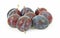 Group Small Italian Prune Plums