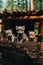 A group of small kittens sitting on top of a log. Generative AI image.