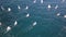 Group of small sail boats manoeuvring in a calm sea waters. Aerial view.