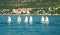 A group of small sailing boats with kid sailors in front of hilly shore