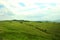 A group of small trees stands on the top and slopes of a high hill in a picturesque valley