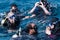 Group of snorkeling divers swimming in sea