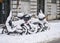 A group of snow-covered scooters