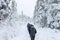 Group of some people on winter hike in mountains, backpackers walking on snowy forest