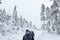 Group of some people on winter hike in mountains, backpackers walking on snowy forest