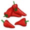 Group of Spanish Piquillo peppers. Cartoon style