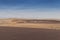 Group of springbocks running on the dunes of the Namibe Desert. Africa. Angola