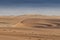 Group of springbocks running on the dunes of the Namibe Desert. Africa. Angola