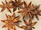 Group of star-anise (close-up)