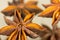 Group of star-anise (macro)