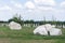 Group of stones - seashell stones on green grass on a background of blue sky with clouds