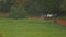 Group of students walking in the park near university, active person exercising