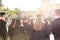 Group of students wearing academic caps and gowns. Graduation ceremony