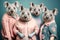 Group studio portrait of fat koalas in clothes , created with Generative AI technology