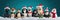 A group of stuffed animals wearing santa hats. Generative AI image.