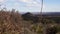 A group of succulent plants of cacti and agave on a mountainside on a background of cone mountain, New Mexico