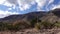 A group of succulent plants of cacti and agave on a mountainside on a background of cone mountain, New Mexico