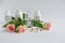 Group of supplement bottle for beauty and roses wiht pills on a white background