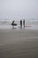 Group of surfers carrying their surfboards at foggy morning. Surfers in wetsuits at the beach in Tofino Canada