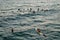 A group a surfers paddle out at the Venice pier to honor a fallen friend.