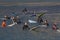 A group of surfers wait for the wave