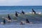 A group of surfers wait for the wave