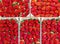 Group of tasty natural strawberries grown locally in private gardens and sold at street markets