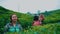 a group of tea garden farmers walk up to their friends with bamboo baskets before work