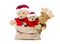 Group of teddy bears isolated for red christmas decoration - con